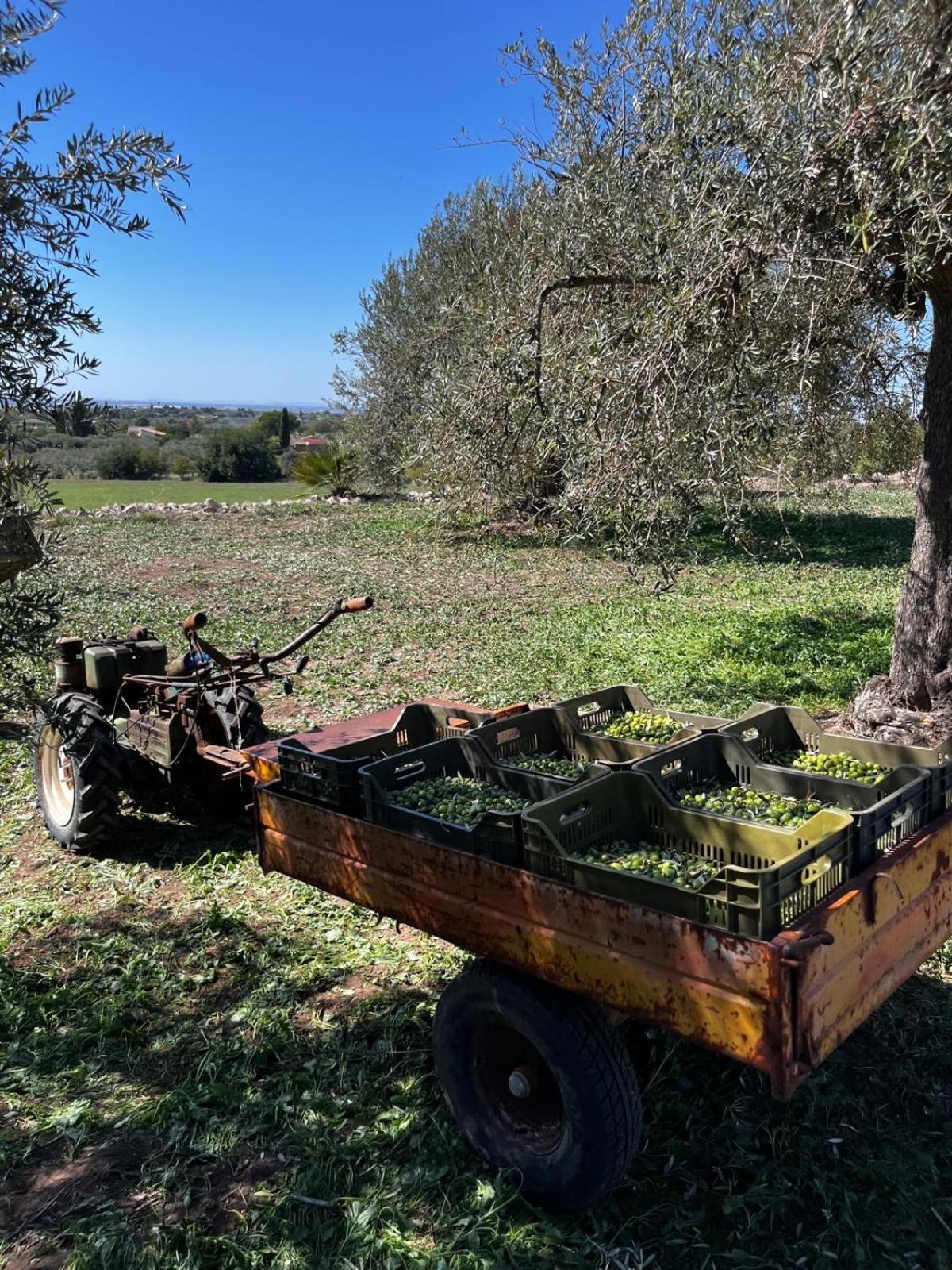 La Bella Vita Agriturismo Chiaramonte Gulfi Buitenkant foto
